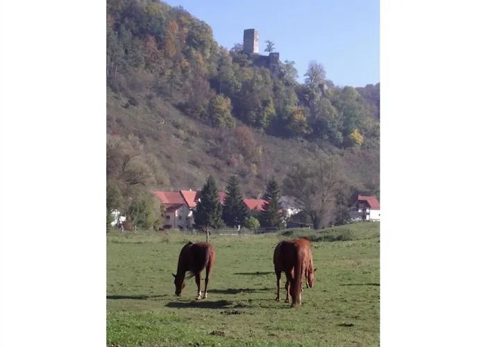 Haus Elke Gomadingen